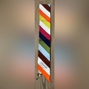 Coach Ponytail/Purse Scarf